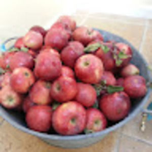 Meet your Posher, Yvonne